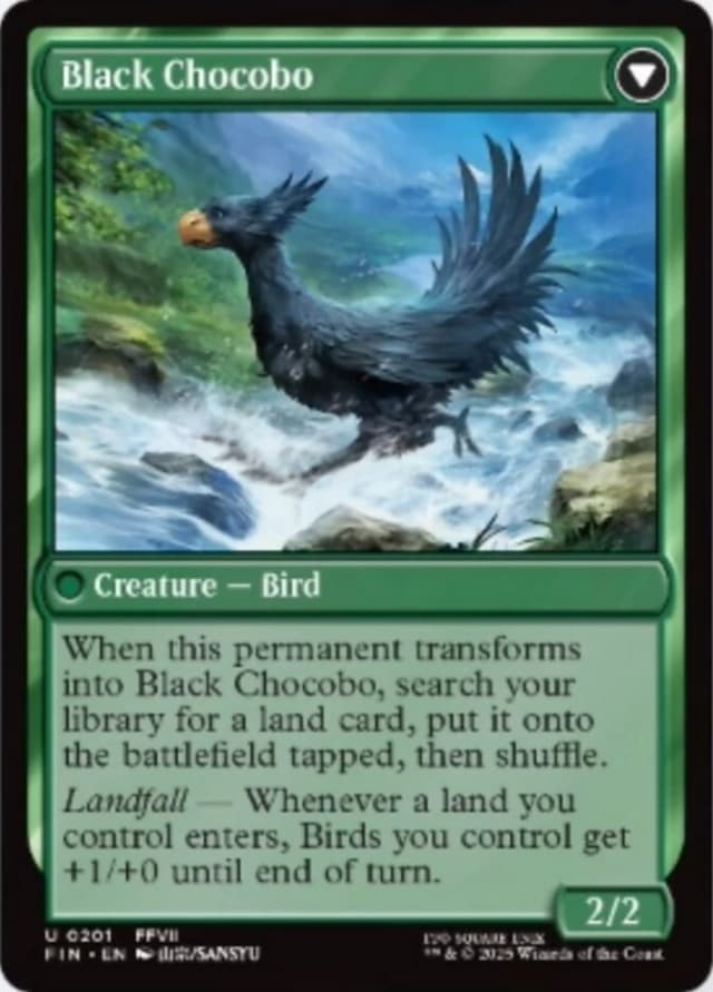 Sidequest: Raise a Chocobo // Black Chocobo image