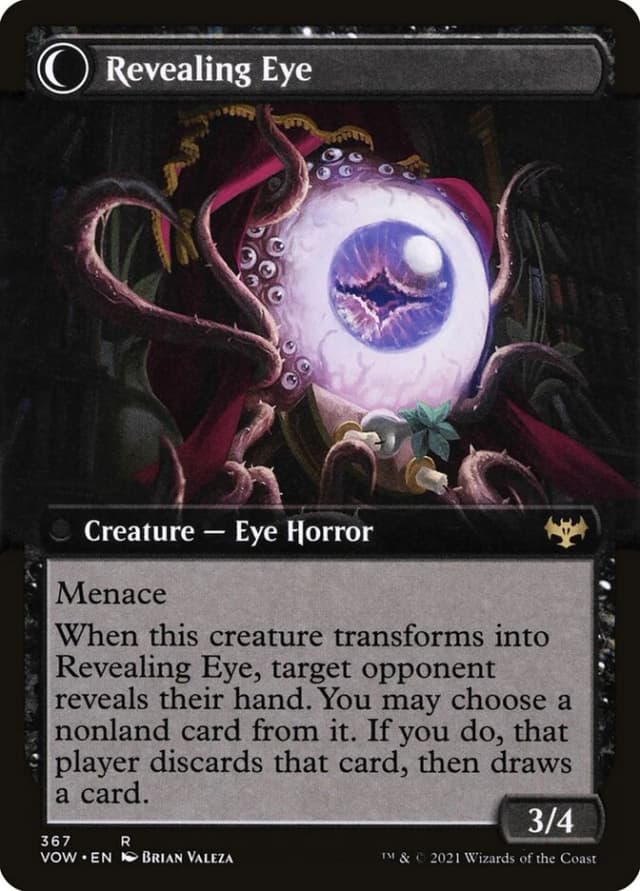 Concealing Curtains // Revealing Eye image