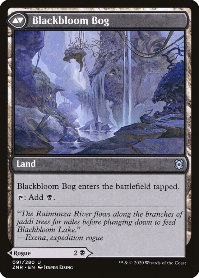 Blackbloom Rogue // Blackbloom Bog image