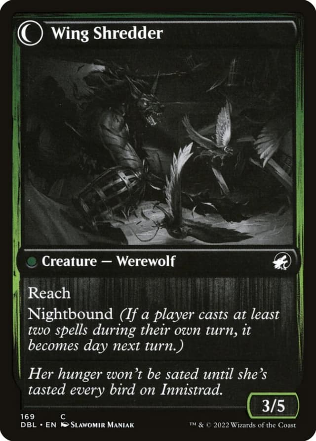 Bird Admirer // Wing Shredder image