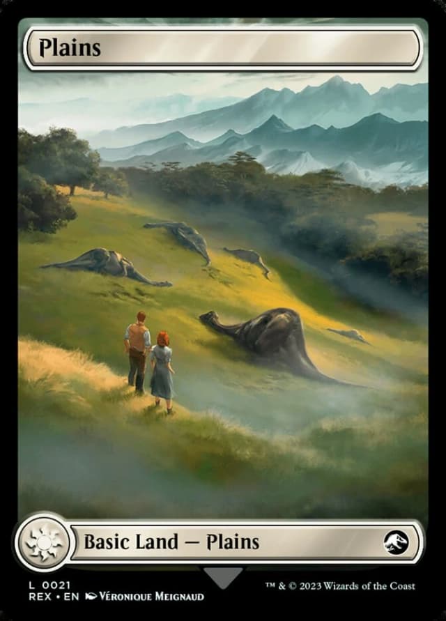 Plains // Plains image