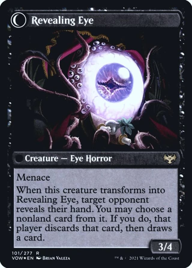 Concealing Curtains // Revealing Eye image
