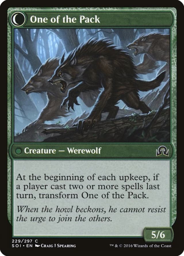 Solitary Hunter // One of the Pack image