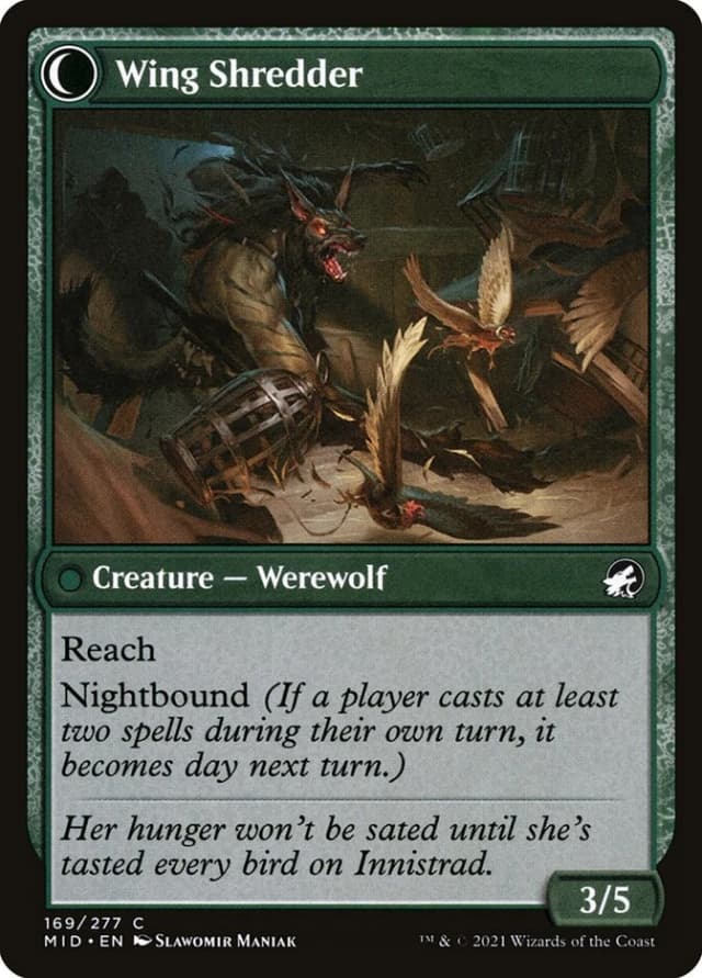Bird Admirer // Wing Shredder image