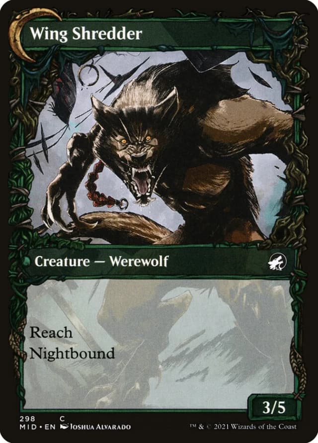 Bird Admirer // Wing Shredder image