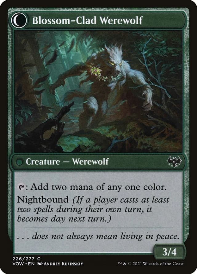 Weaver of Blossoms // Blossom-Clad Werewolf image