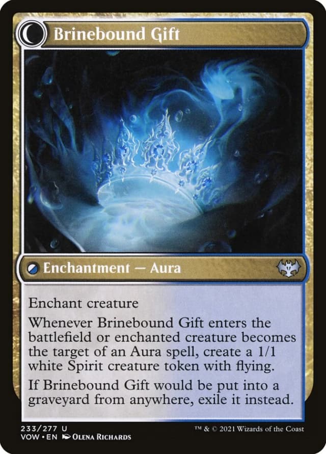 Brine Comber // Brinebound Gift image