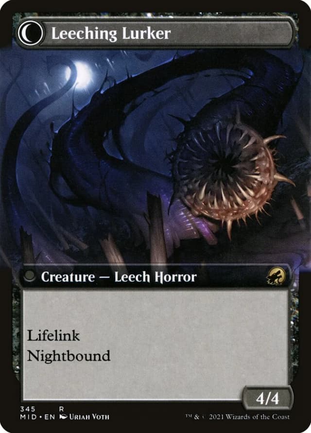 Curse of Leeches // Leeching Lurker image