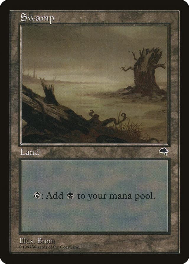 Swamp image