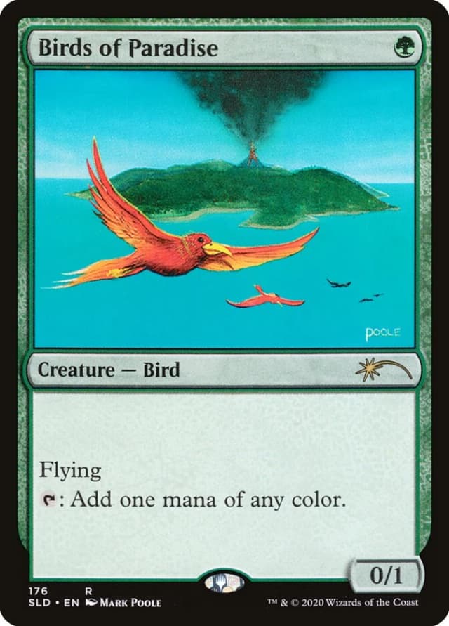 Birds of Paradise image