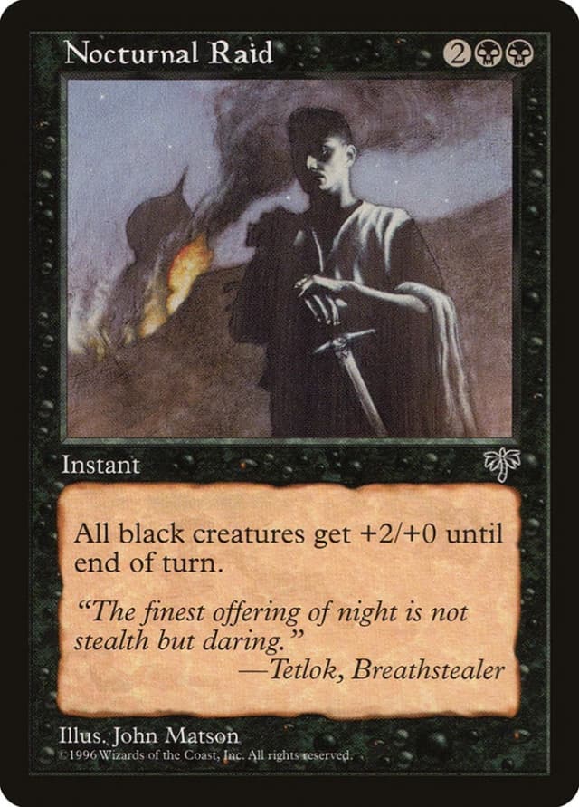 Nocturnal Raid image