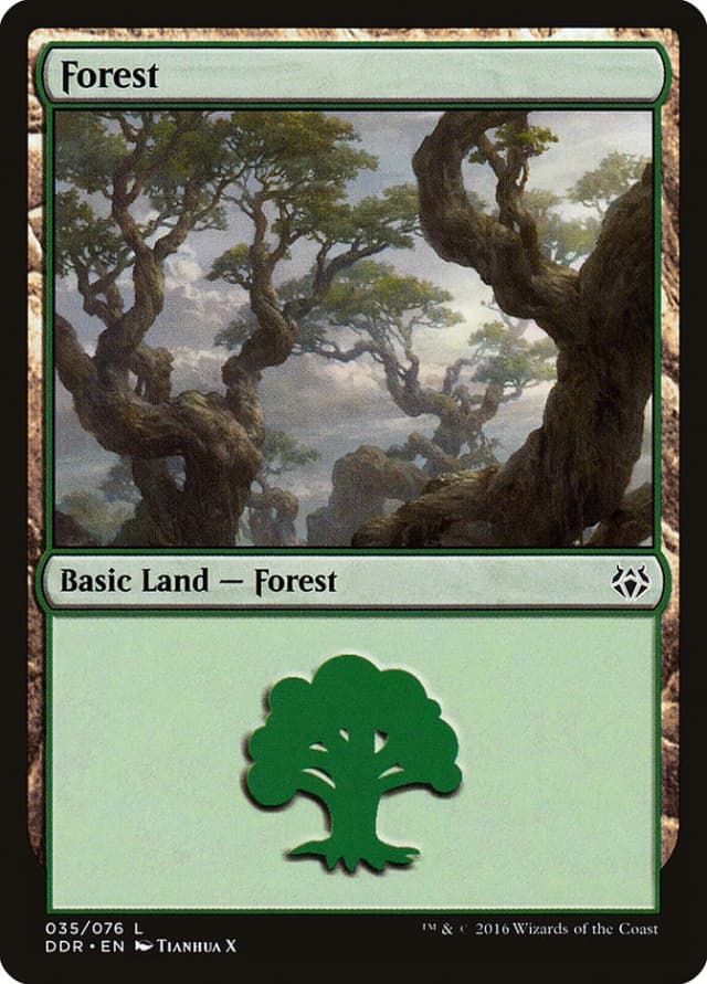 Forest image