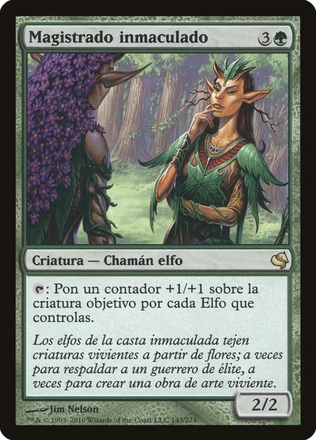 Immaculate Magistrate image