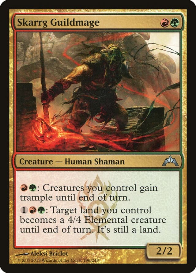 Skarrg Guildmage image