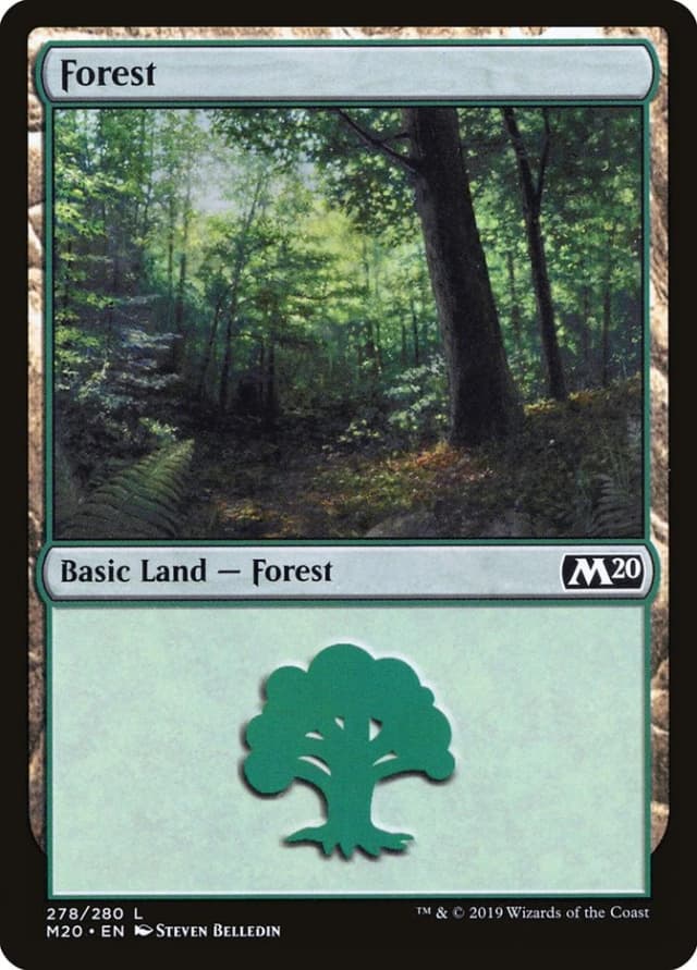 Forest image
