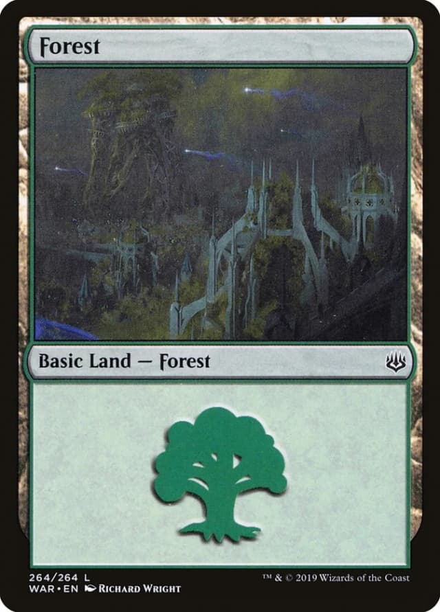 Forest image