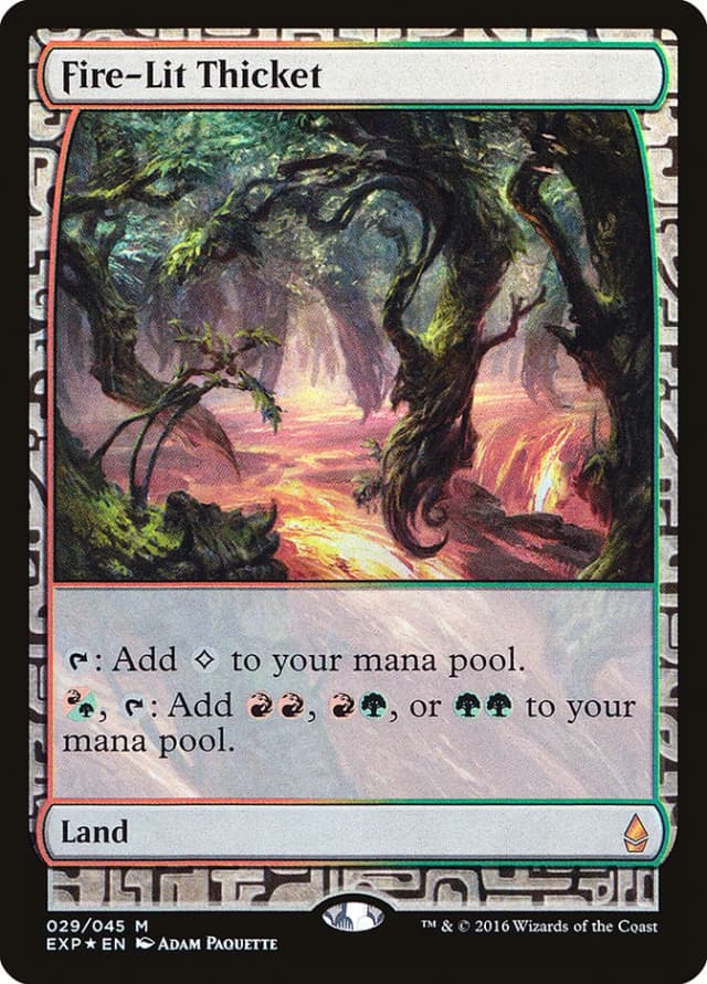 Fire-Lit Thicket image