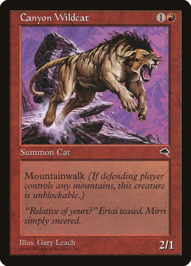 Canyon Wildcat image