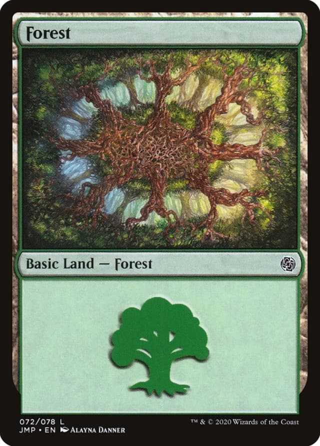 Forest image