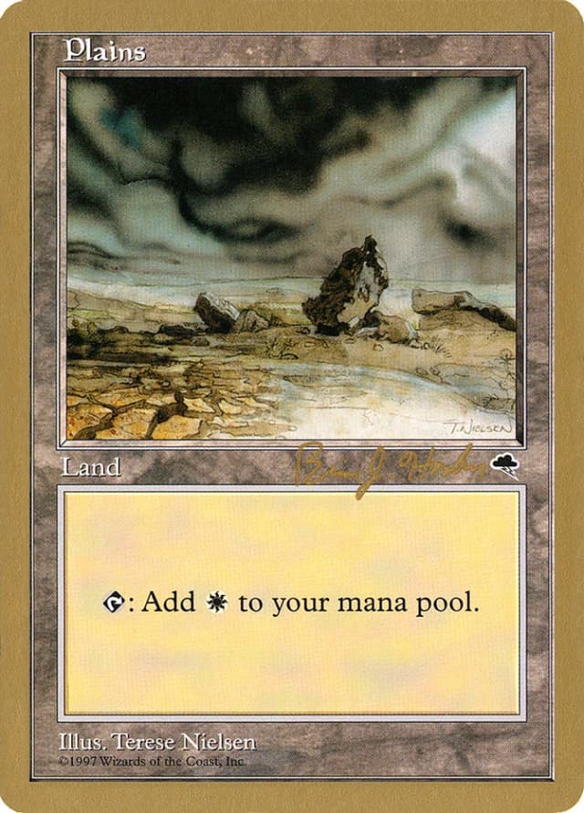 Plains image