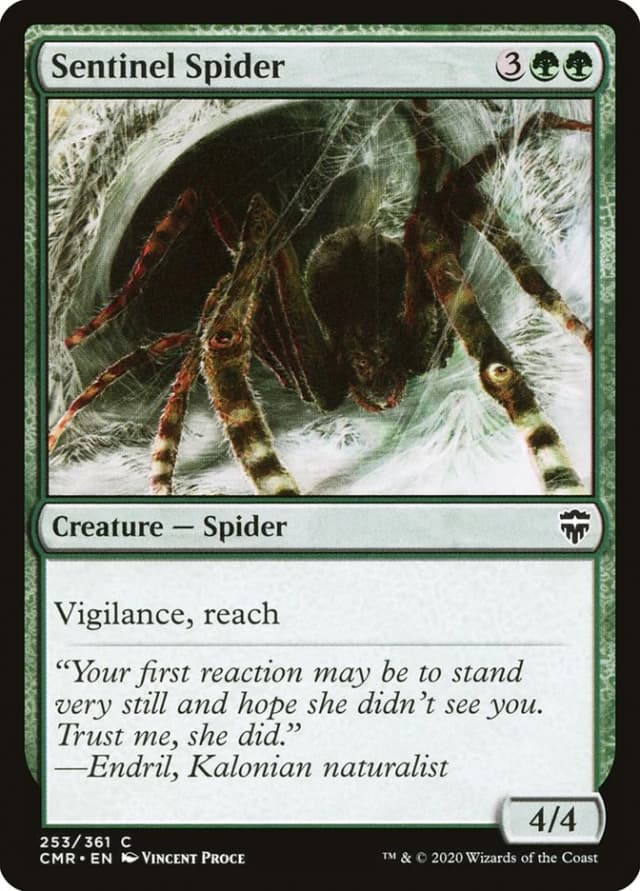 Sentinel Spider image