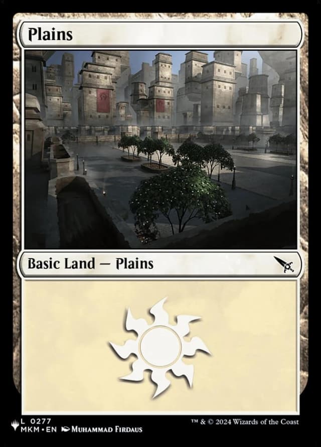 Plains image