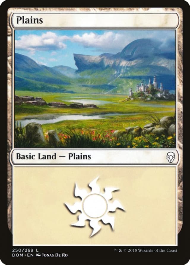 Plains image