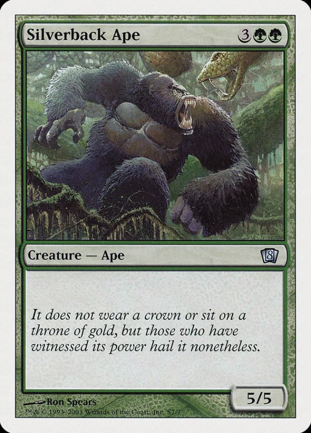 Silverback Ape image
