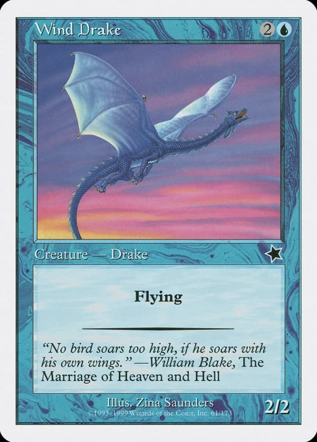 Wind Drake image