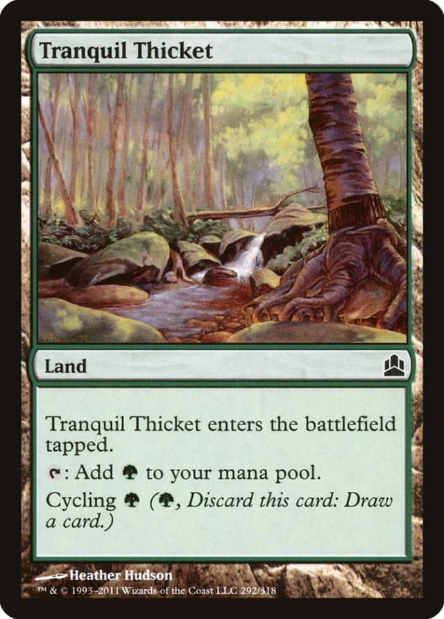 Tranquil Thicket image