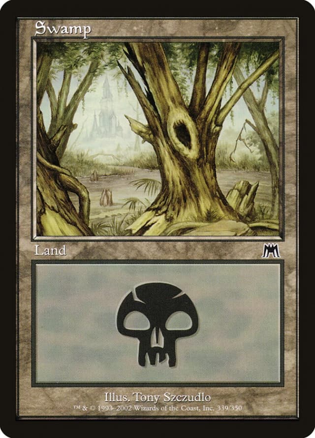 Swamp image