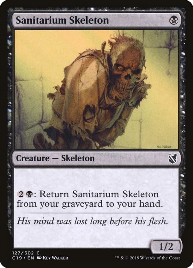 Sanitarium Skeleton image