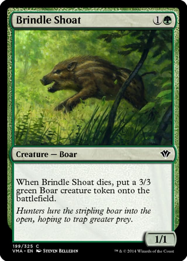 Brindle Shoat image