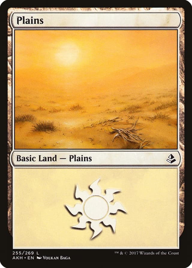 Plains image