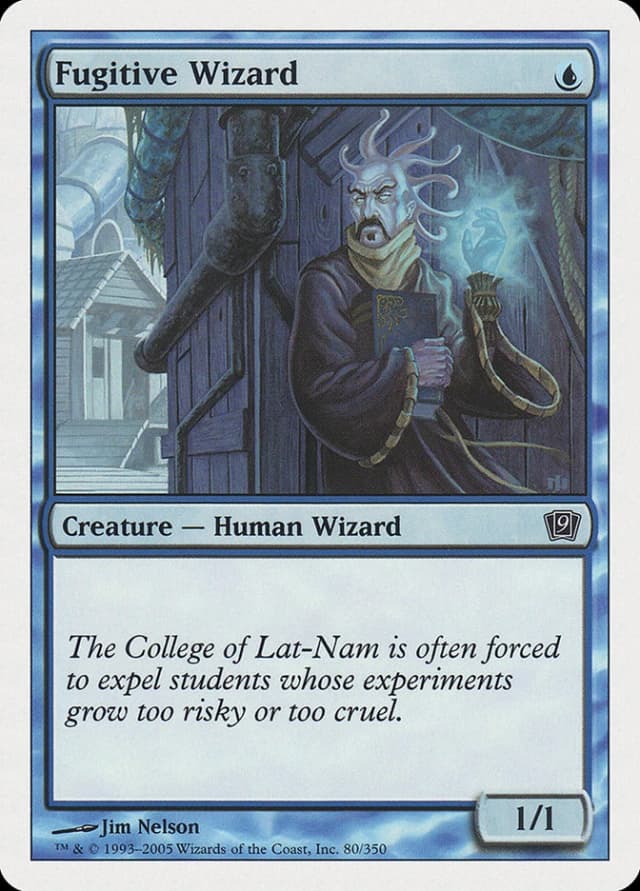 Fugitive Wizard image