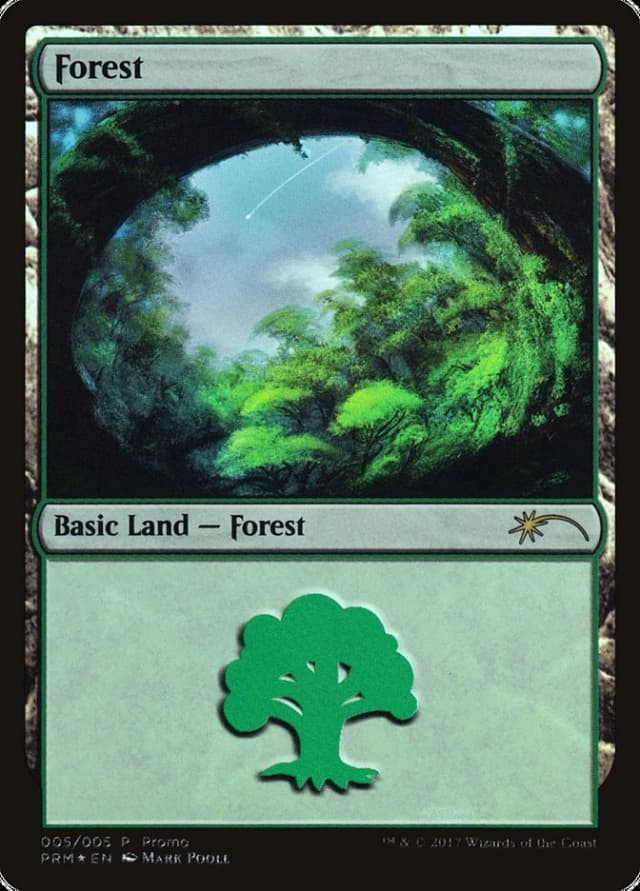 Forest image