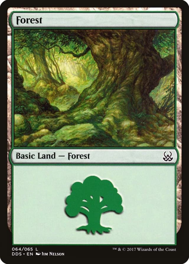 Forest image
