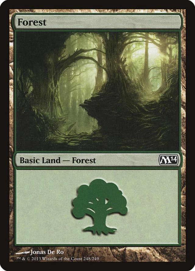 Forest image