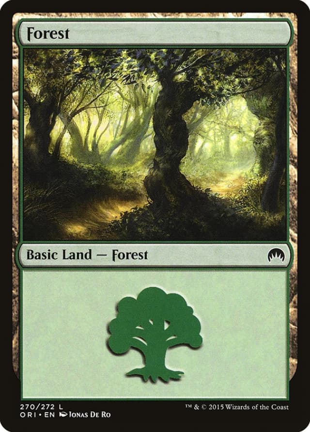 Forest image