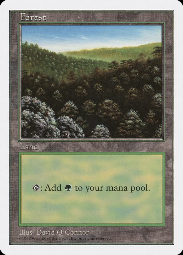 Forest image