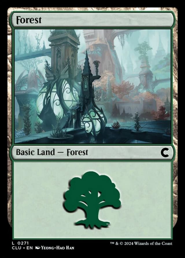 Forest image