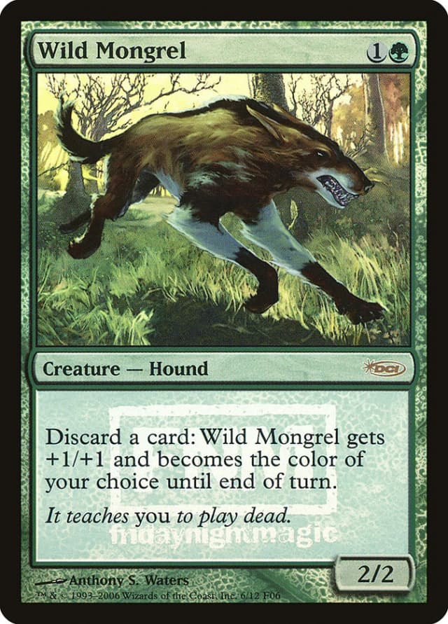 Wild Mongrel image