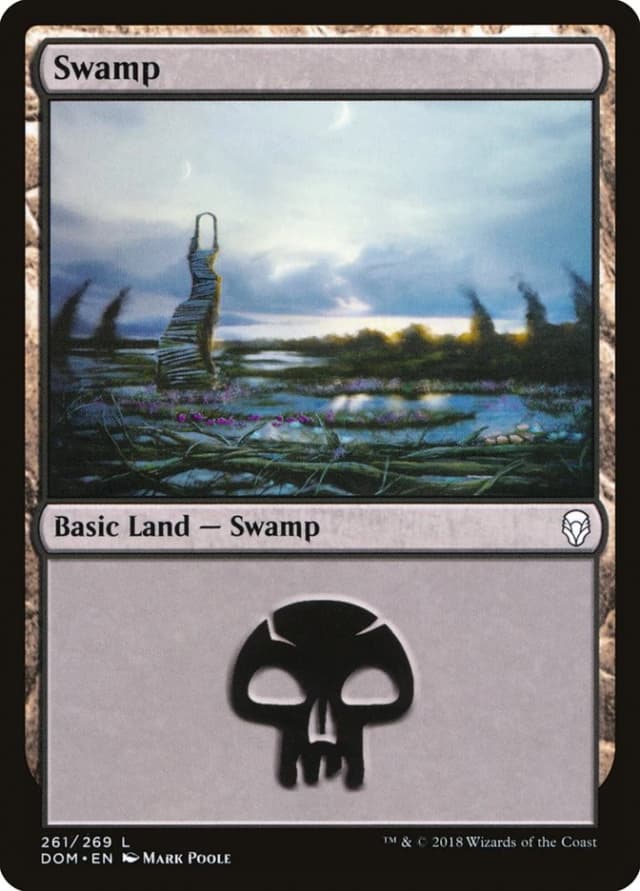 Swamp image