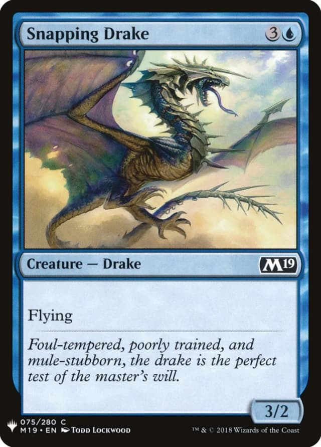 Snapping Drake image