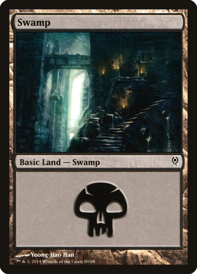 Swamp image