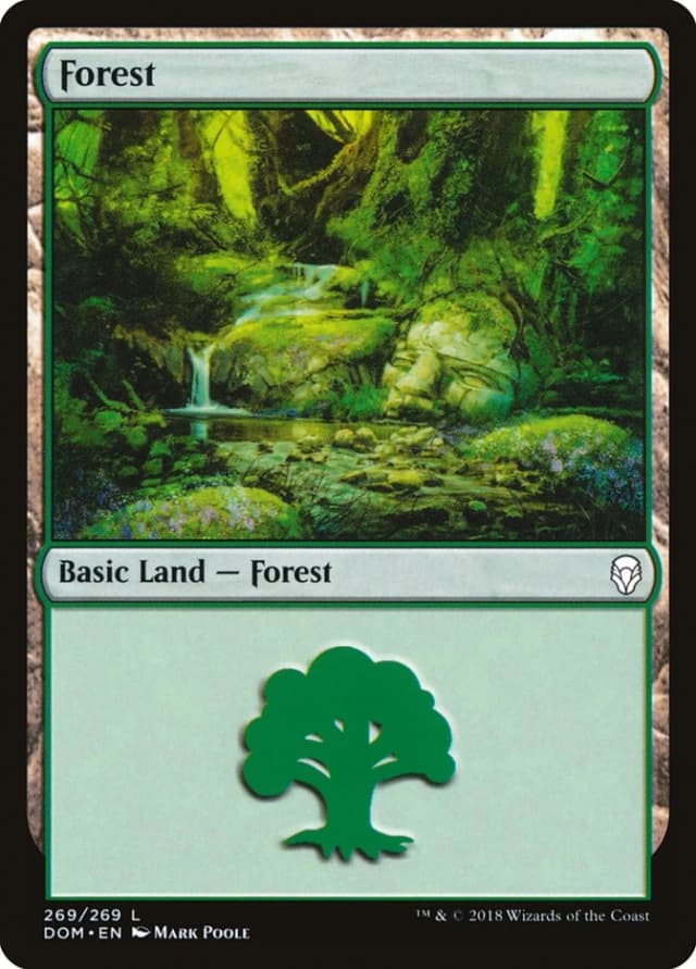 Forest image