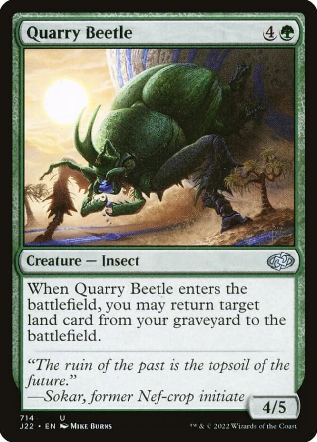 Quarry Beetle image