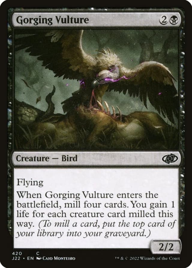 Gorging Vulture image