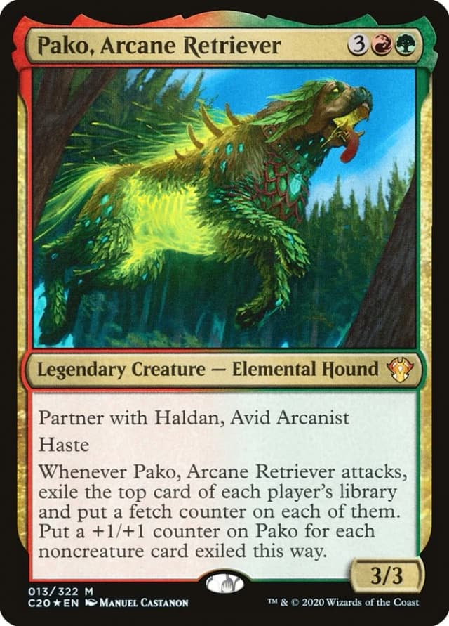 Pako, Arcane Retriever image