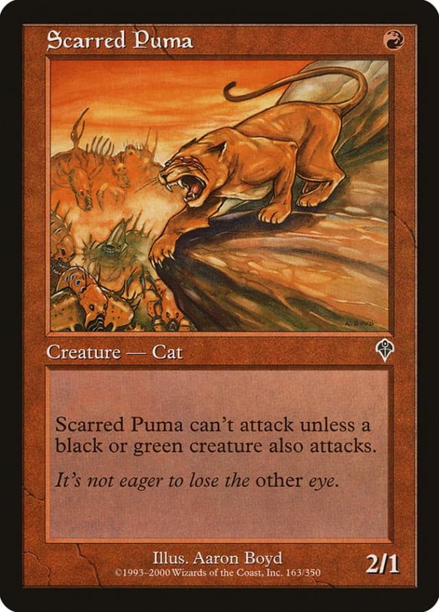 Scarred Puma image